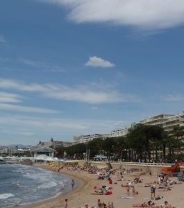 phoca_thumb_l_162
