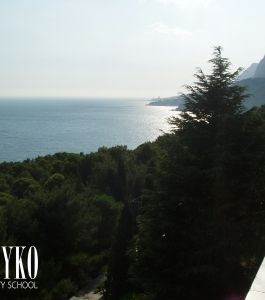 phoca_thumb_l_96